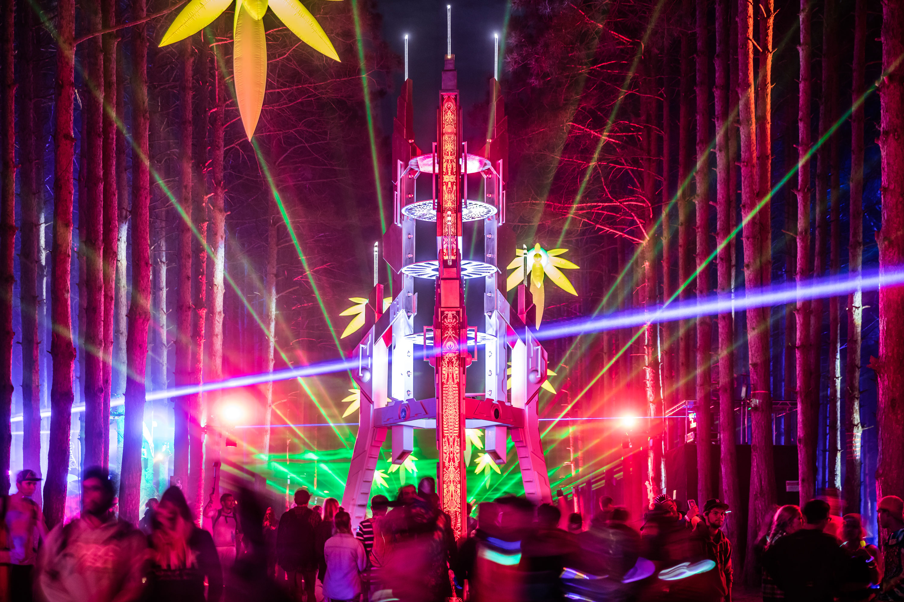 Sherwood Forest - Electric Forest
